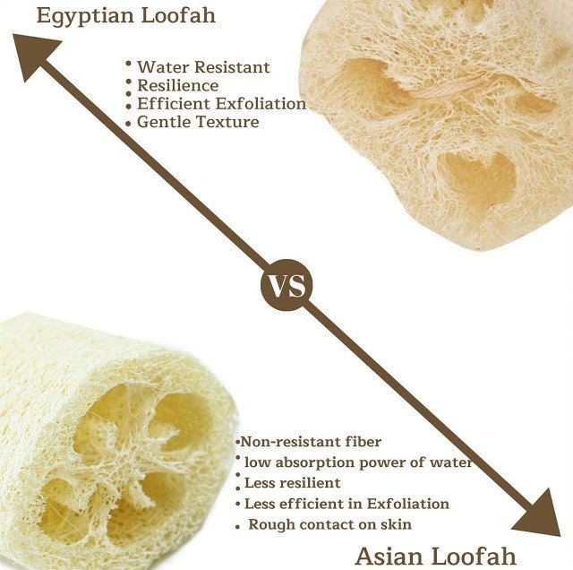 Natural Loofah Sponge Wholesale Supplier Cute Eve