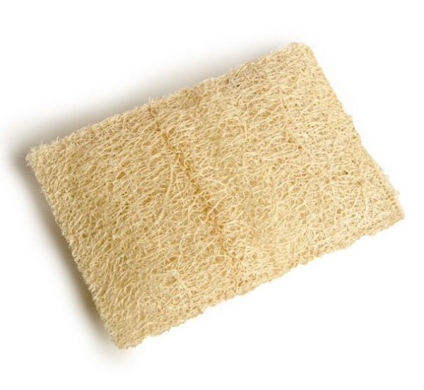 Rectangle Kitchen Loofah Scrubber | Cute Eve Egyptian Luffa Sponges Supplier
